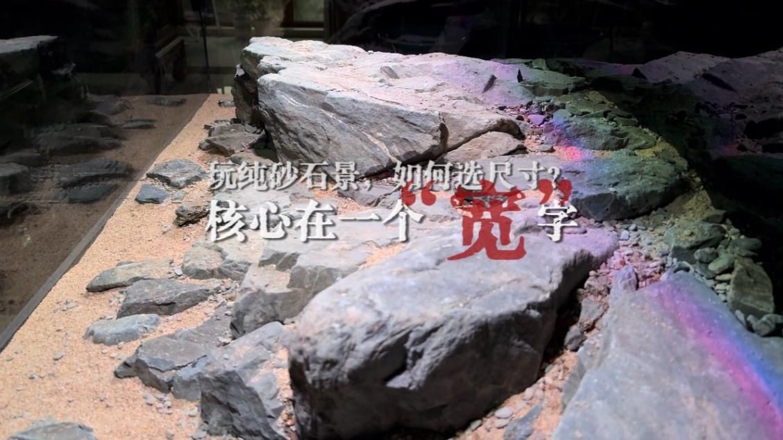 如何根據戶型選擇魚缸尺寸？【《如何根據戶型選擇魚缸尺寸》】