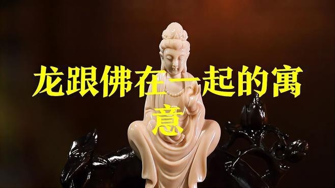 金龍?jiān)诜鸾毯偷澜讨械慕巧窘瘕堅(jiān)诜鸾毯偷澜讨芯哂胁煌南笳饕饬x和角色定位】