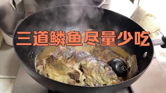 鱗魚為何盡量少吃【十八鱗魚為何要盡量少吃構意呈家白鱗魚盡量少吃】