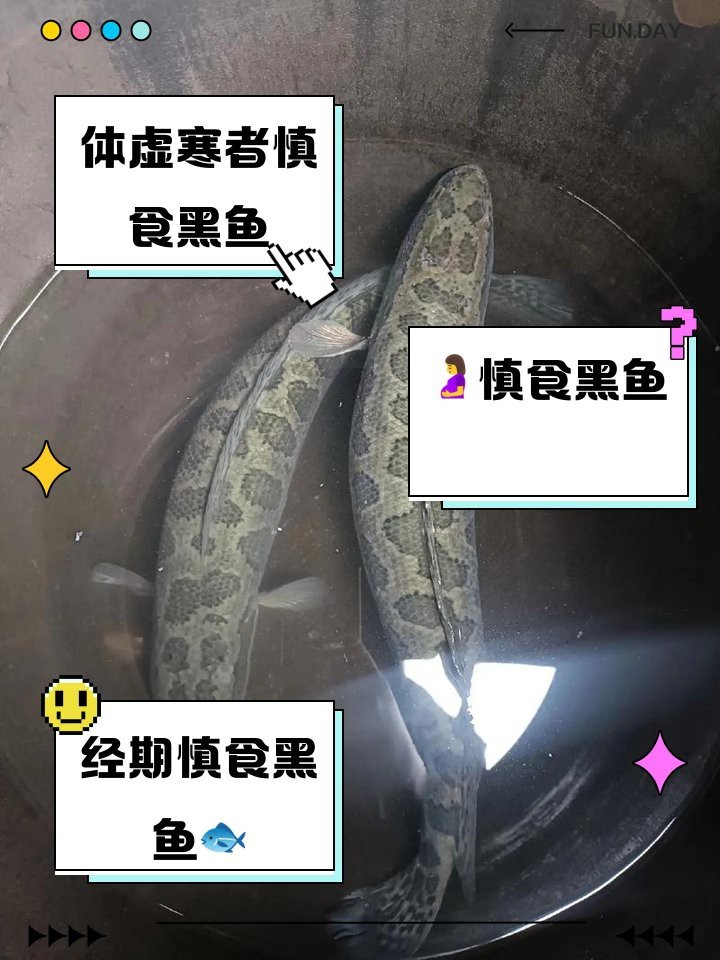 四種人不宜吃深海魚【關于深海魚的健康問題】