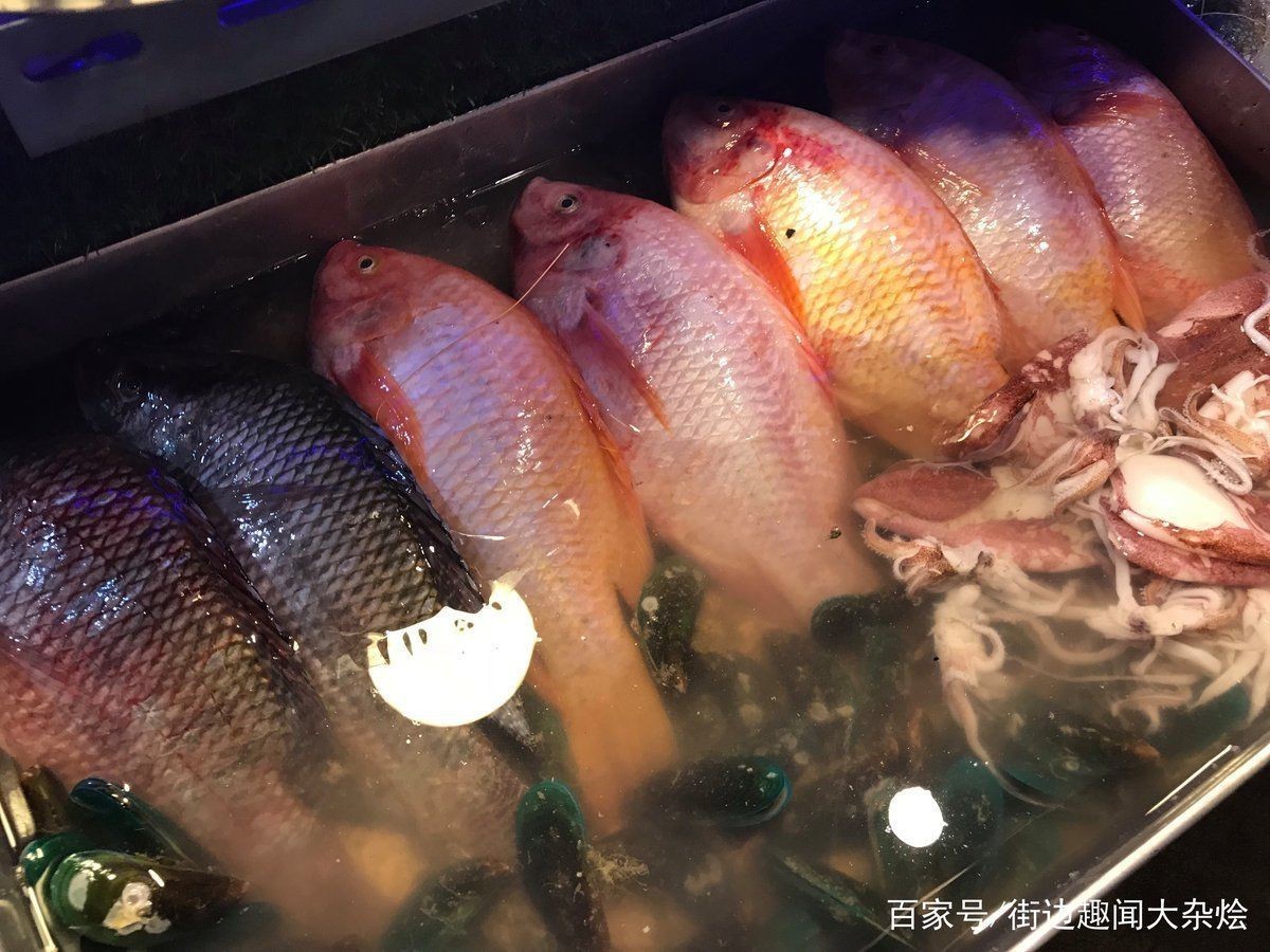 紅魚(yú)是什么檔次的魚(yú)【紅魚(yú)是什么檔次的魚(yú)，星河漫步,美國(guó)紅魚(yú)】