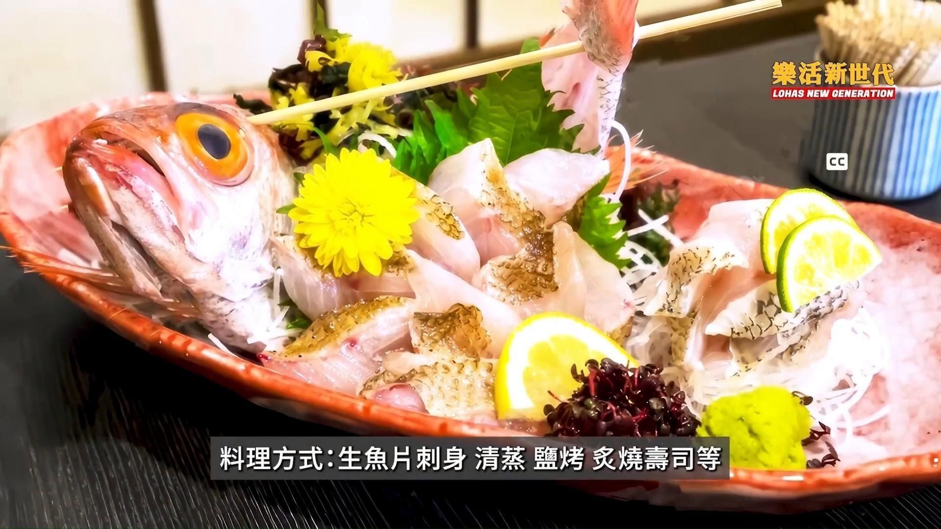 紅魚(yú)是什么檔次的魚(yú)【紅魚(yú)是什么檔次的魚(yú)，星河漫步,美國(guó)紅魚(yú)】