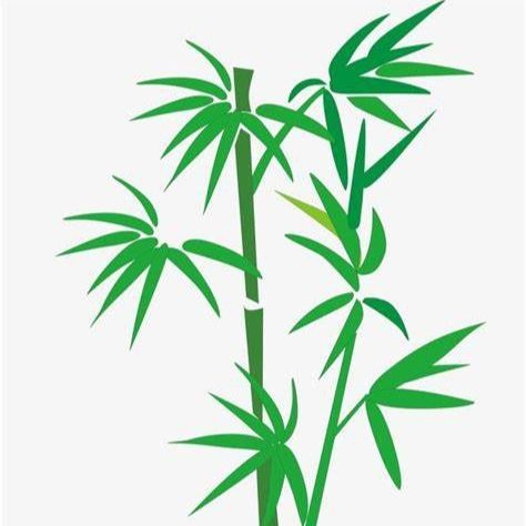 龍頭朝向最忌三種東西【《龍頭朝向最忌三種東西》】