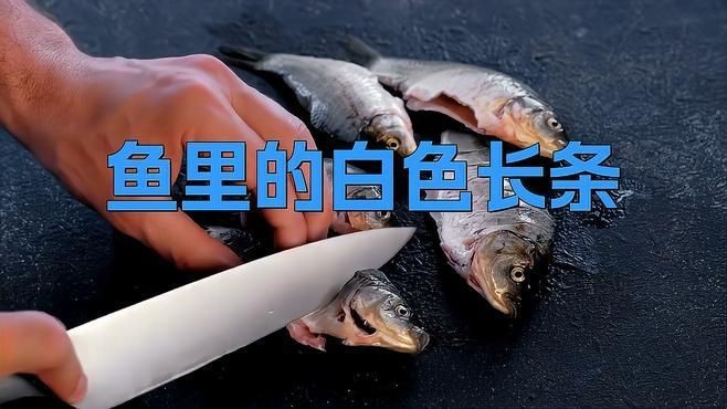 哪些魚更容易感染白色線蟲？【容易得白點的吊類排名,看看哪些最易感染】 哪些魚更容易感染白色線蟲？【容易得白點的吊類排名,看看哪些最易感染】 龍魚百科 第4張