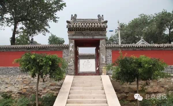紅龍王爺?shù)恼嫔碚掌尽都t龍王爺真身照片：神秘傳說(shuō)背后的探尋》】