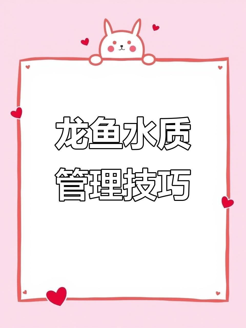 龍魚飼養(yǎng)的水質(zhì)要求【《龍魚飼養(yǎng)的水質(zhì)要求》】