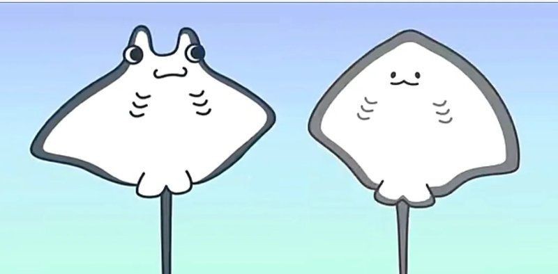 魟魚和蝠鲼的區別【澳大利亞小眾旅行攻略：[需手動填充]魚和蝠鲼、魔鬼魚有什么區別】 魟魚和蝠鲼的區別【澳大利亞小眾旅行攻略：[需手動填充]魚和蝠鲼、魔鬼魚有什么區別】 龍魚論壇 第13張