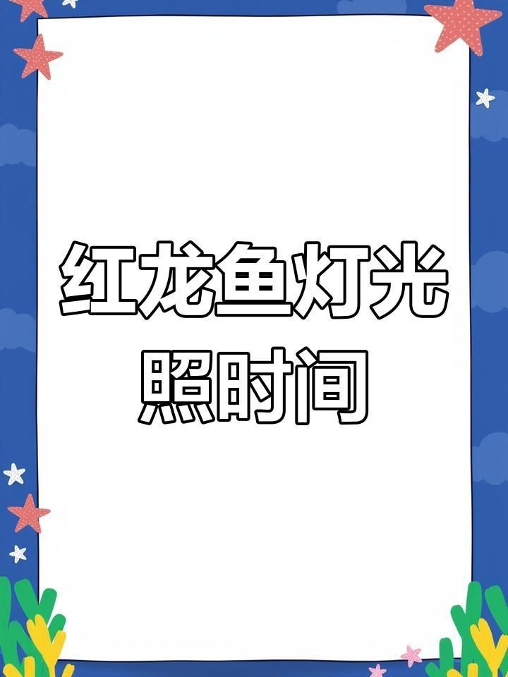 養紅龍需要24小時開燈嗎【關于養紅龍是否需要24小時開燈存在不同觀點有說法】