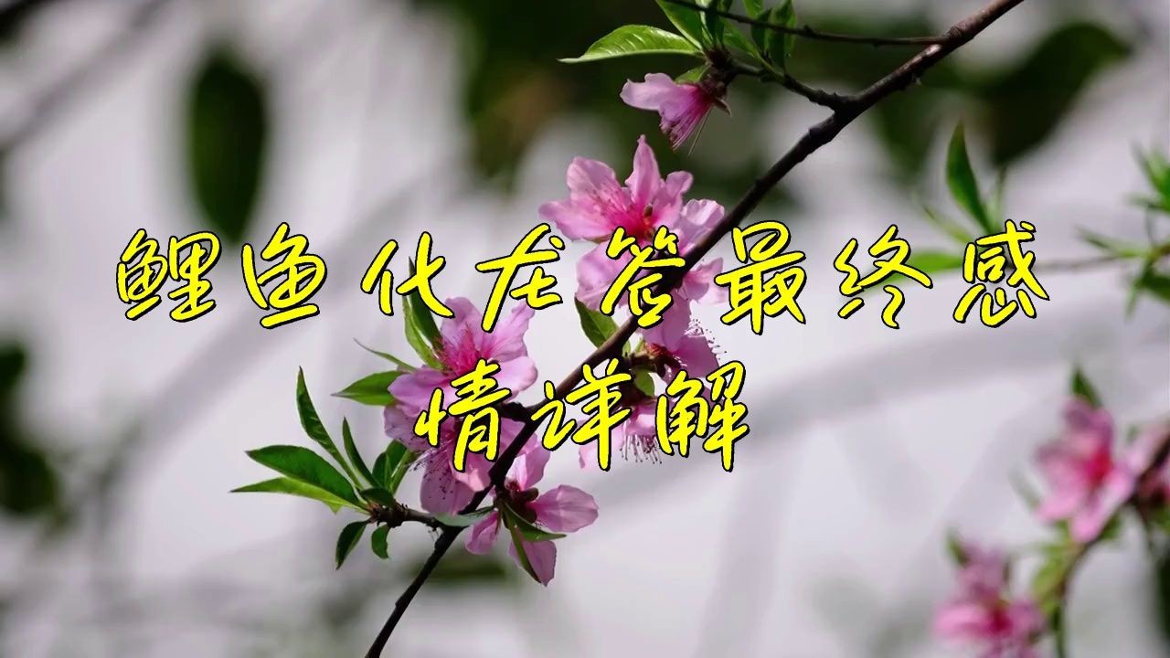 鯉魚化龍是好簽嗎【“鯉魚化龍”常被視為具有積極寓意的簽文從傳統象征意義來看】 鯉魚化龍是好簽嗎【“鯉魚化龍”常被視為具有積極寓意的簽文從傳統象征意義來看】 龍魚百科 第3張