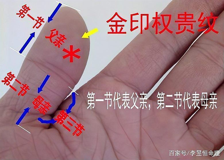 帝王手相龍眼紋【帝王手相中的龍眼紋,領袖神秘色彩與特殊意義的手相】
