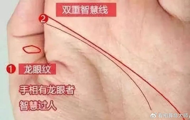 帝王手相龍眼紋【帝王手相中的龍眼紋,領袖神秘色彩與特殊意義的手相】