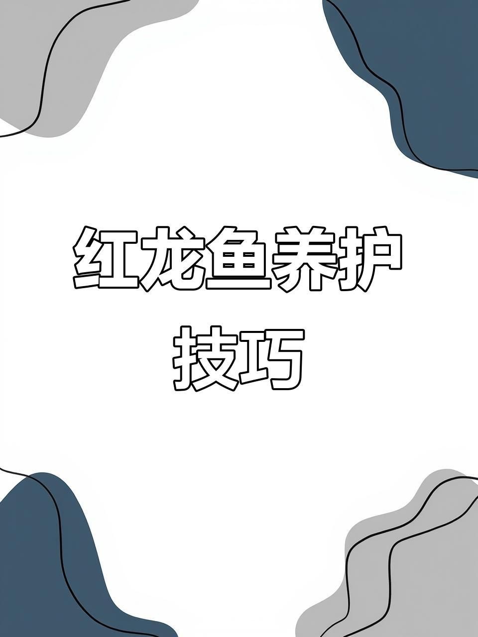 如何判斷紅龍健康狀況【如何通過龍魚身體語言詳解】