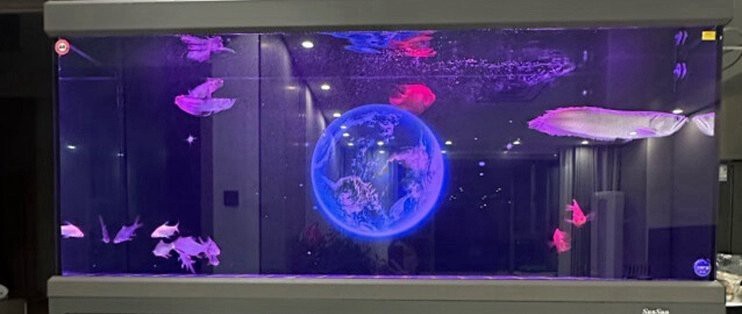森森魚缸顯示屏拆開視頻【森森水族箱顯示屏拆解全過程】