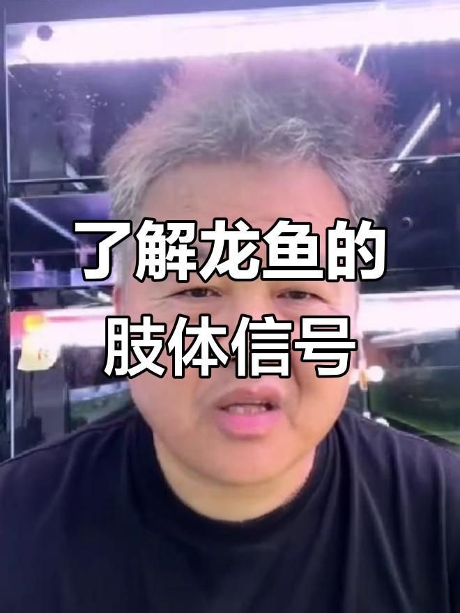 龍魚怎么辨別生病