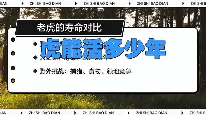 老虎能活多少年【老虎的壽命到底有多長？】 老虎能活多少年【老虎的壽命到底有多長？】 龍魚百科 第4張