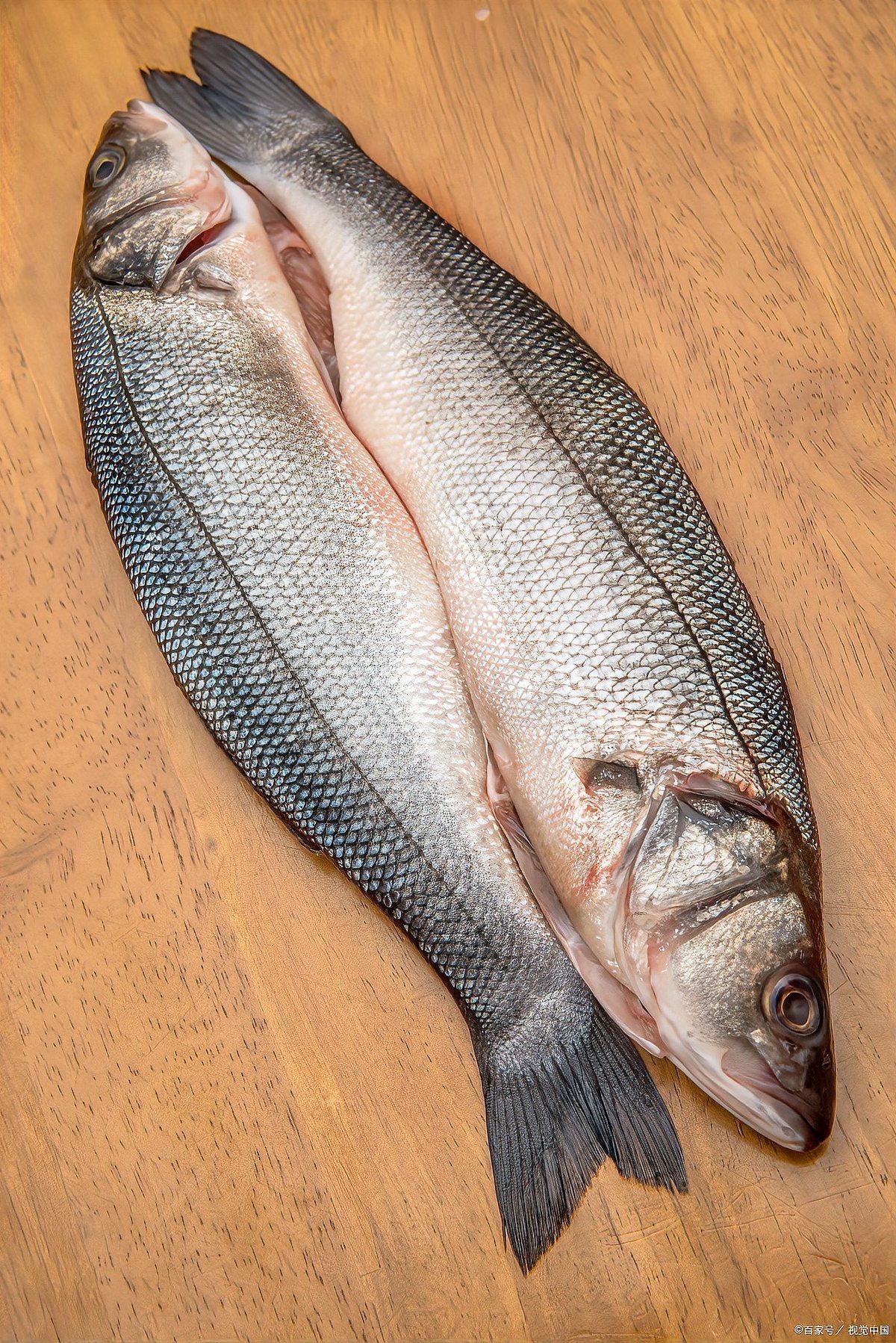 鯛魚燒讀shao還是sao【關于“鯛魚燒”的讀音問題】