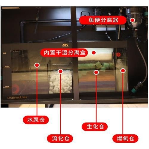 可麗愛魚缸過濾系統圖【《可麗愛魚缸過濾系統圖：保障水族生態的關鍵》】