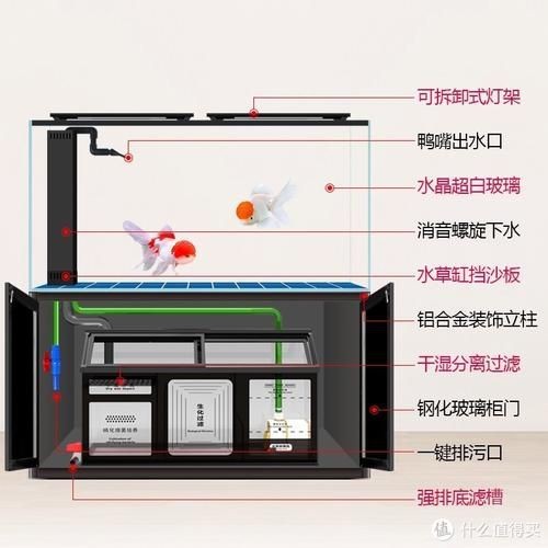 可麗愛魚缸過濾系統圖【《可麗愛魚缸過濾系統圖：保障水族生態的關鍵》】
