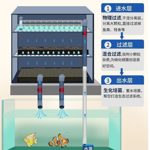 可麗愛魚缸過濾系統圖【《可麗愛魚缸過濾系統圖：保障水族生態的關鍵》】