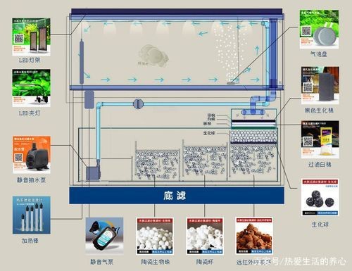 可麗愛魚缸過濾系統圖【《可麗愛魚缸過濾系統圖：保障水族生態的關鍵》】