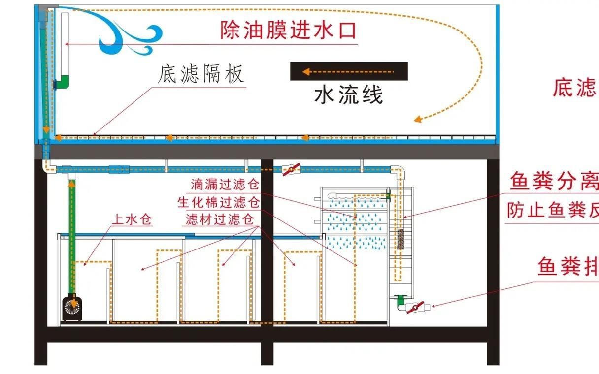 可麗愛魚缸過濾系統圖【《可麗愛魚缸過濾系統圖：保障水族生態的關鍵》】