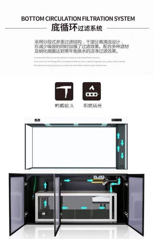 可麗愛魚缸過濾系統圖【《可麗愛魚缸過濾系統圖：保障水族生態的關鍵》】