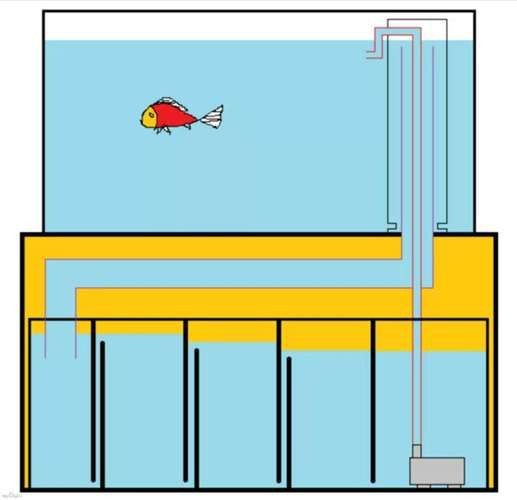 可麗愛魚缸過濾系統圖【《可麗愛魚缸過濾系統圖：保障水族生態的關鍵》】