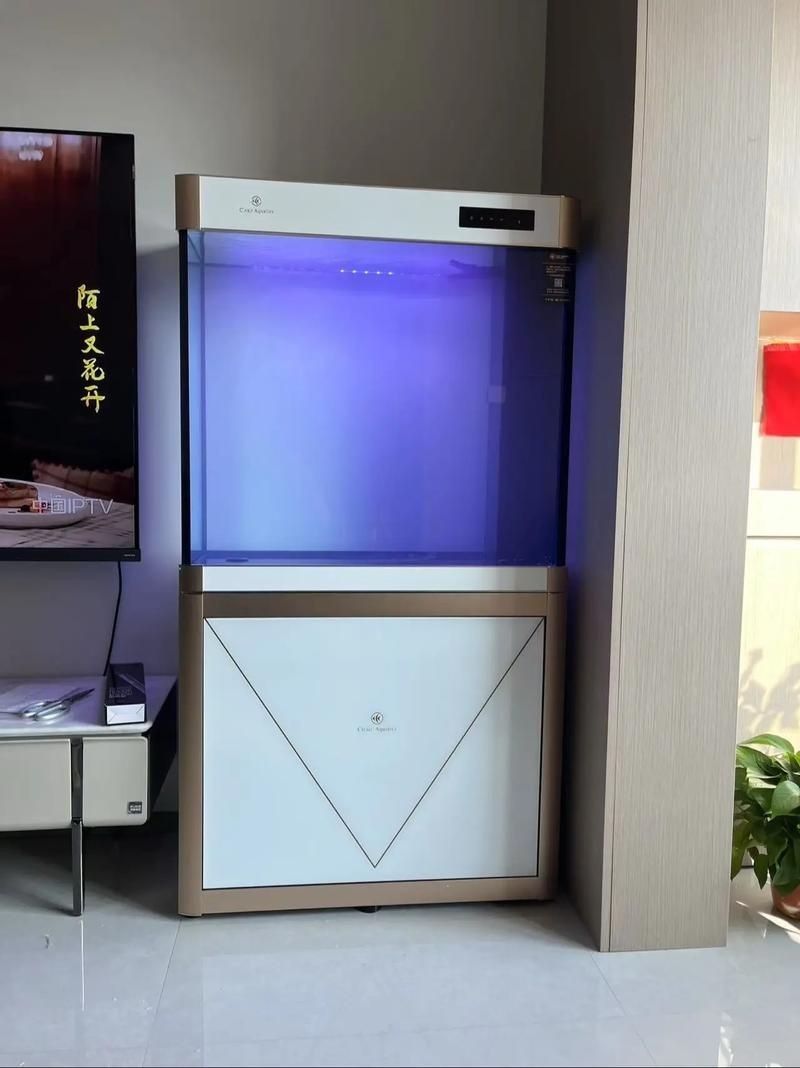 可麗愛魚缸過濾系統圖【《可麗愛魚缸過濾系統圖：保障水族生態的關鍵》】