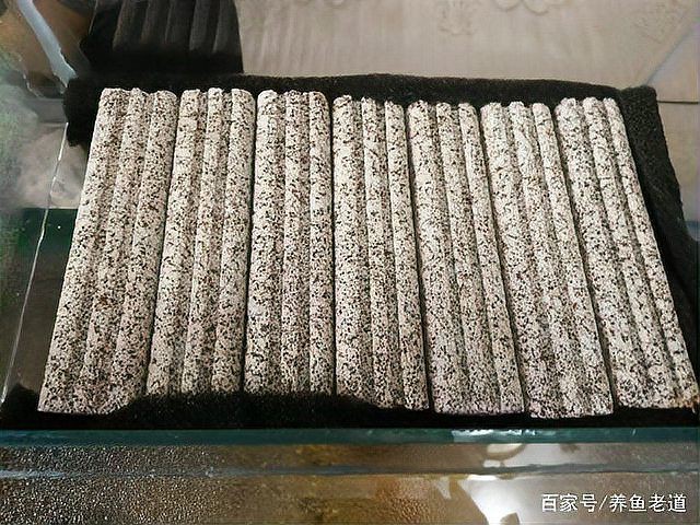 可麗愛魚缸過濾系統圖【《可麗愛魚缸過濾系統圖：保障水族生態的關鍵》】