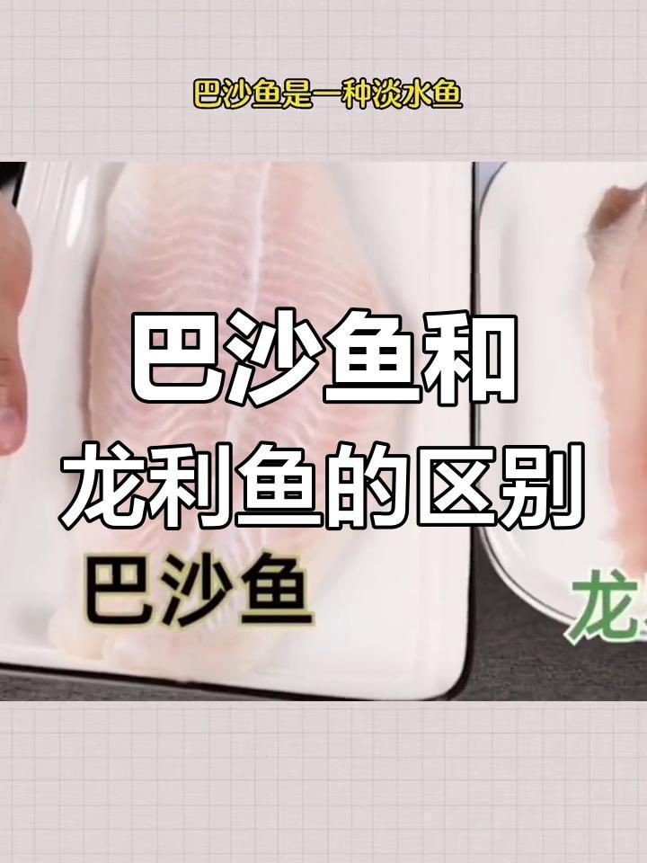 龍利魚好還是巴沙魚好【《龍利魚與巴沙魚的優劣比較》】 龍魚百科 第4張 龍利魚好還是巴沙魚好【《龍利魚與巴沙魚的優劣比較》】 龍利魚好還是巴沙魚好【《龍利魚與巴沙魚的優劣比較》】 龍魚百科 第4張