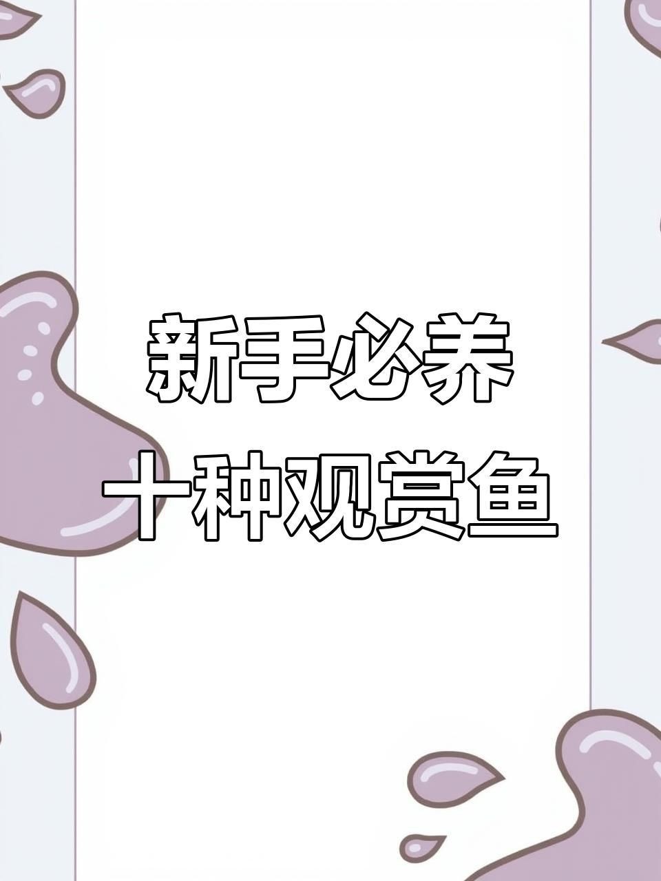 十大好養的魚【十大最適合新手養的觀賞魚推薦，新手養魚不踩坑】 十大好養的魚【十大最適合新手養的觀賞魚推薦，新手養魚不踩坑】 龍魚百科 第6張