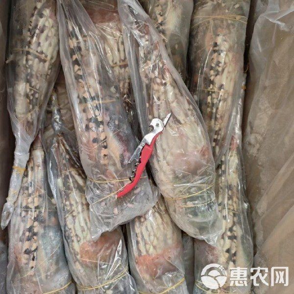 錦繡龍蝦多少錢一斤【錦繡龍蝦價格揭秘豆腐腦貓兒錦繡龍蝦有哪些營飪方法】