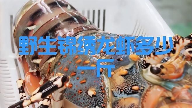 錦繡龍蝦多少錢一斤【錦繡龍蝦價格揭秘豆腐腦貓兒錦繡龍蝦有哪些營飪方法】