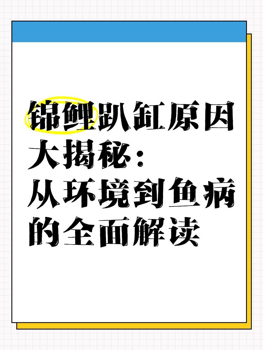 錦鯉一會(huì)活躍一會(huì)趴缸【《錦鯉活躍一會(huì)趴缸》活躍一會(huì)活躍一會(huì)趴缸的情況】