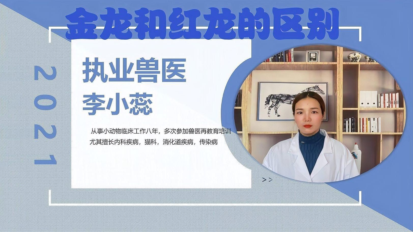 金龍魚和紅龍魚的區別有哪些【養龍魚是選擇金龍好，還是紅龍好】