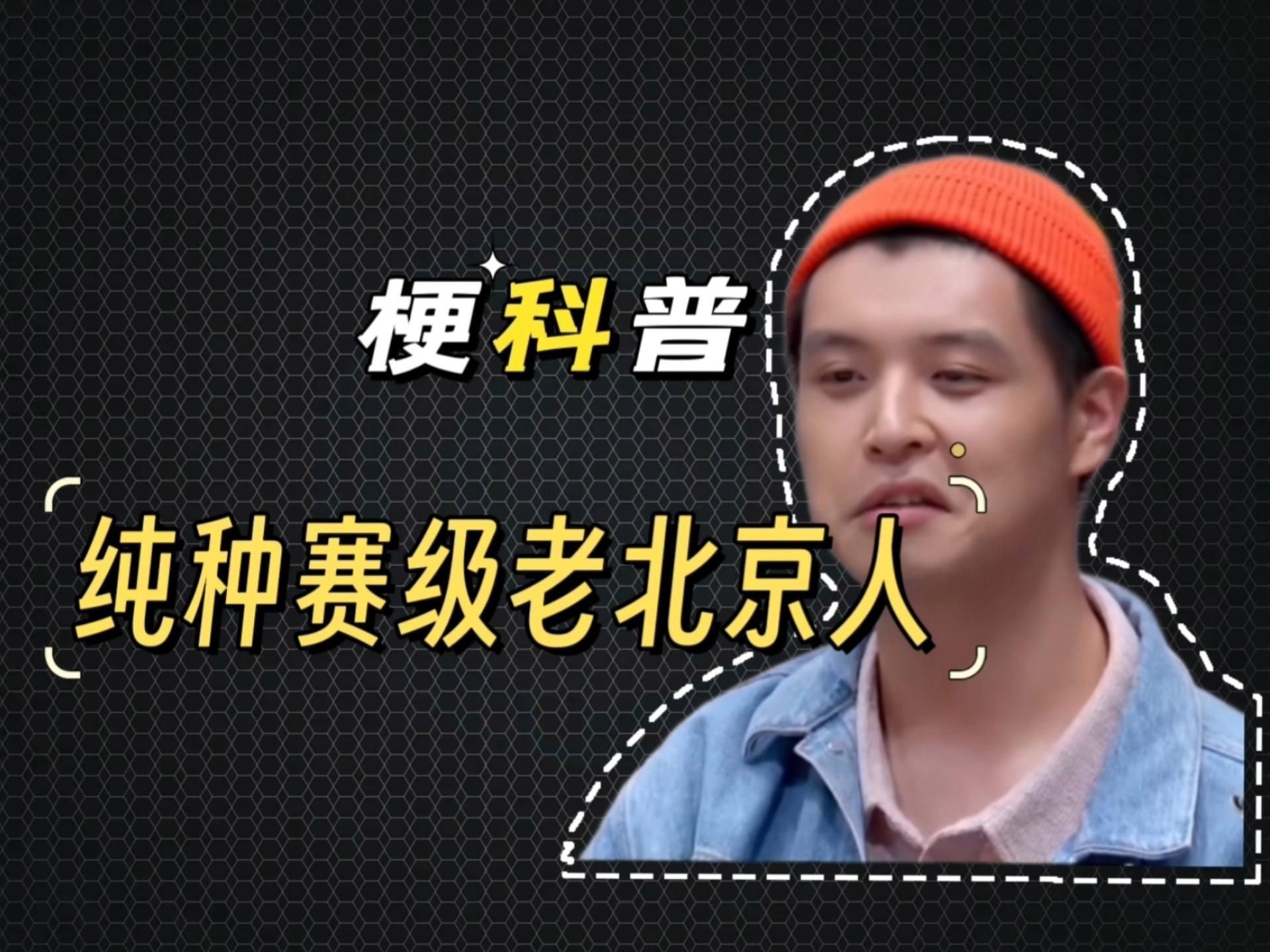 賽級(jí)北京人【純種賽級(jí)北京人】