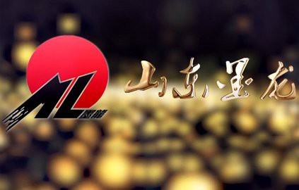 山東墨龍全國唯一【《山東墨龍：全國唯一的獨特存在》】