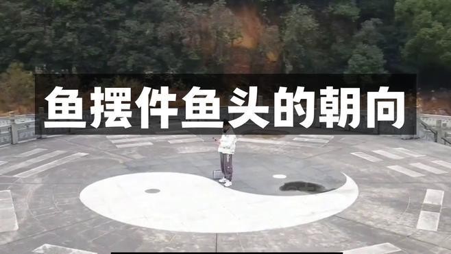 不同品種龍魚的最佳頭朝向【金龍魚擺件頭朝哪擺放最旺財玄學研究者養金龍魚風水講究】