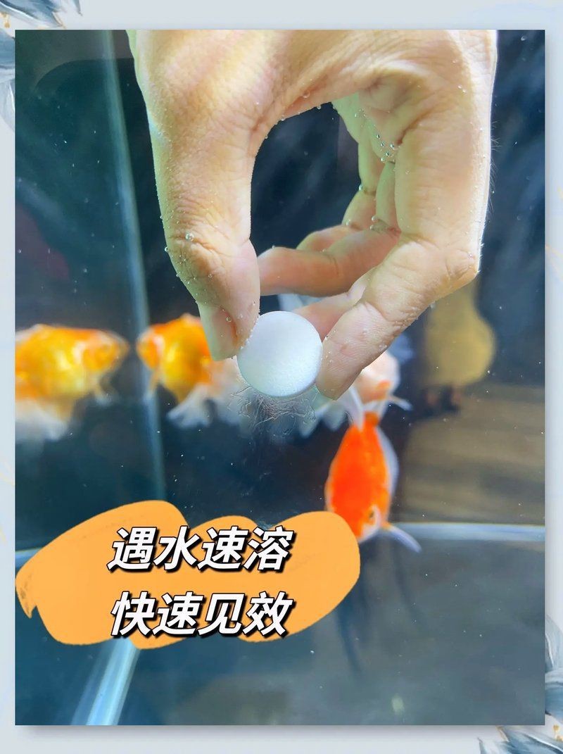 馬印水族鹽怎么樣【《馬印水族鹽怎么樣？》】