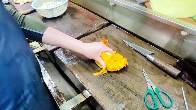 金老虎魚視頻全部播放【《金老虎魚視頻：奇妙水族世界的視覺盛宴》】