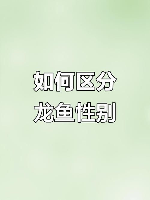 龍魚公母對照圖【龍魚公母圖解大全龍魚如何分公母圖解大全龍魚公母圖解】