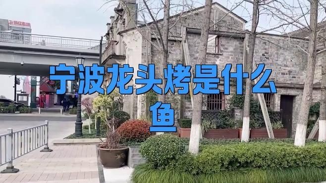 龍頭烤是什么魚做的【上海龍頭烤，外酥里嫩的完美口感】