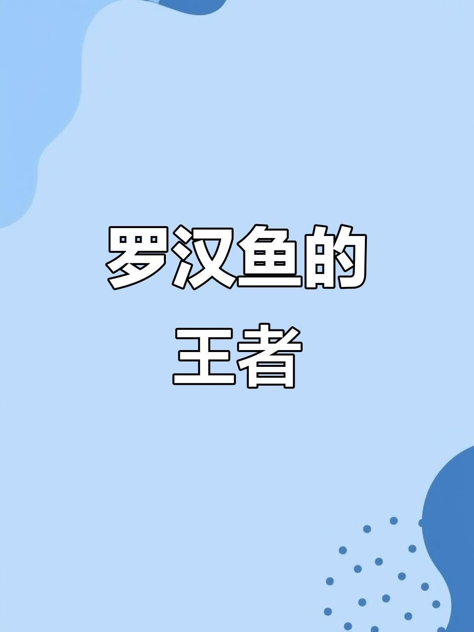 羅漢魚價格多少錢一條【史上最全羅漢魚價格齊家星冉羅漢魚價格多少錢一條】