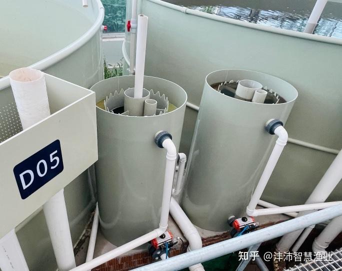 龍魚混養(yǎng)需要哪些過濾設備？【龍魚混養(yǎng)所需的過濾設備】