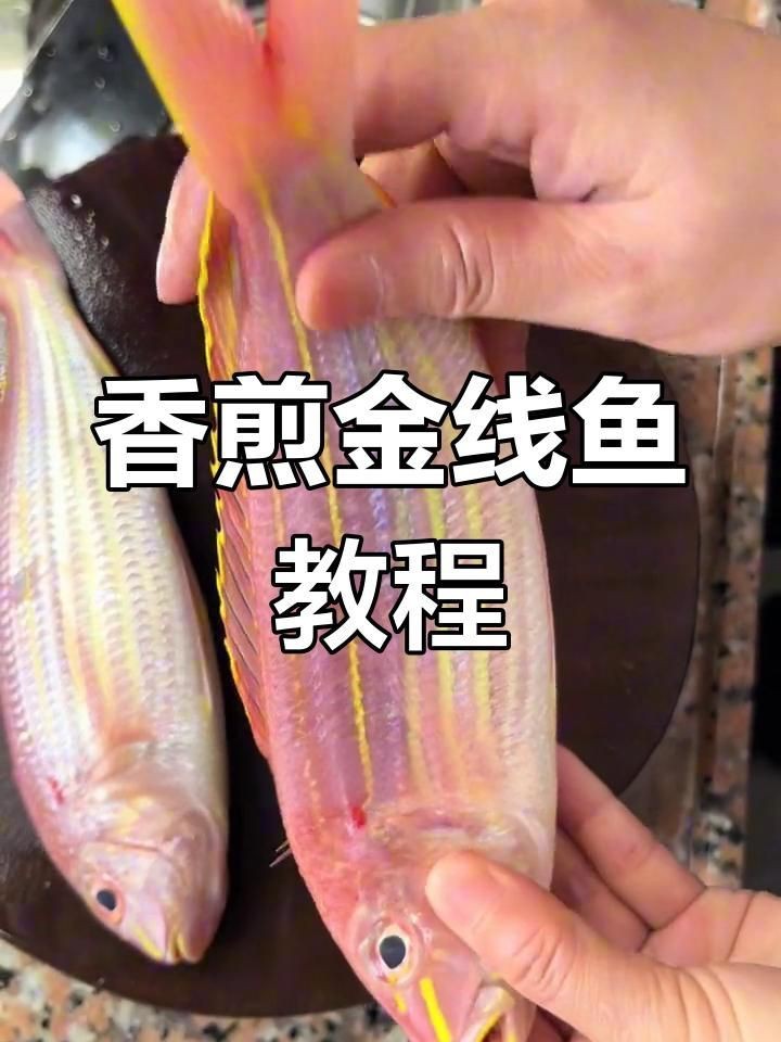 金絲魚最佳吃法【《金絲魚最佳吃法》**，肉質鮮嫩，味道鮮美，有多種絕佳吃法】