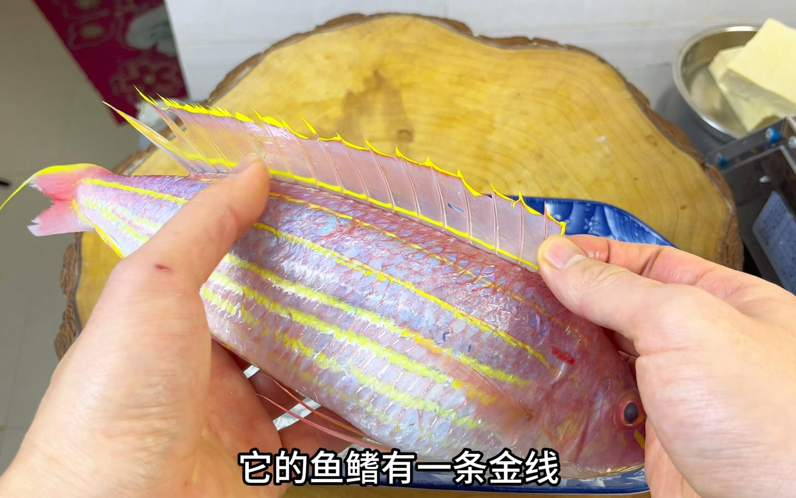 金絲魚最佳吃法【《金絲魚最佳吃法》**，肉質鮮嫩，味道鮮美，有多種絕佳吃法】