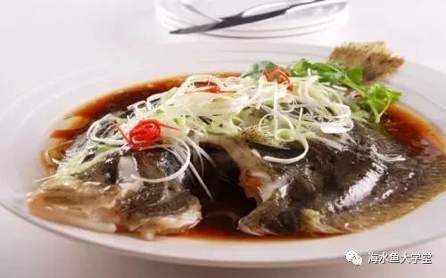 多寶魚又叫什么魚【多寶魚為什么叫多寶魚】