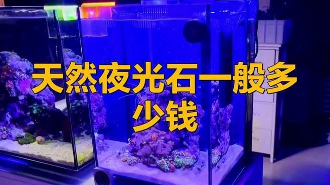 天然夜光石一般多少錢【天然夜光石一般多少錢一克鴻妍xiaoyan3萬塊】 天然夜光石一般多少錢【天然夜光石一般多少錢一克鴻妍xiaoyan3萬塊】 龍魚百科 第1張