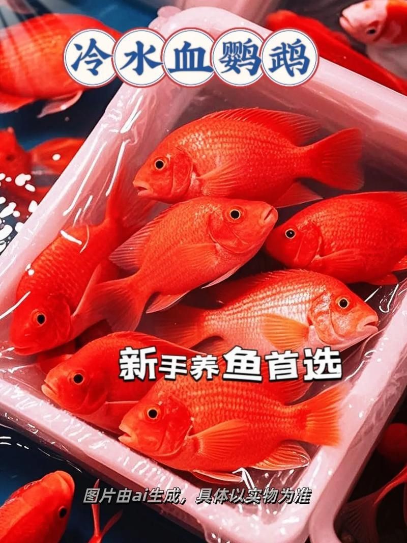 紅財神魚圖片【紅財神魚為什么叫財神魚,發財魚為什么叫財神魚發財魚】 龍魚論壇 第16張 紅財神魚圖片【紅財神魚為什么叫財神魚,發財魚為什么叫財神魚發財魚】 紅財神魚圖片【紅財神魚為什么叫財神魚,發財魚為什么叫財神魚發財魚】 龍魚論壇 第16張