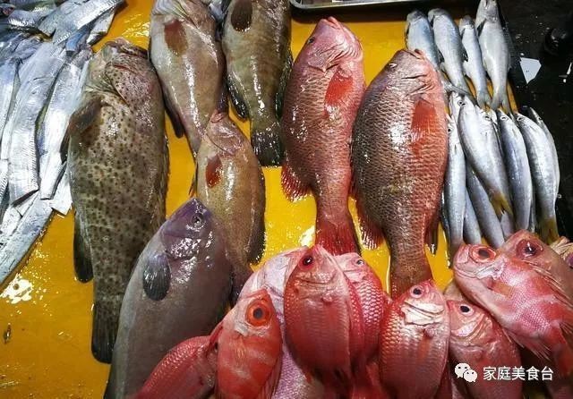 十大便宜好養的魚【十大便宜好養的觀賞魚，適合初學者的觀賞魚,皮實易養】